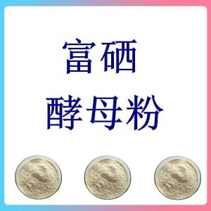 富硒酵母粉 斯诺特生物水溶25公斤纸板桶