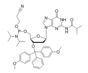 DMT-dG(iBu)-CE Reverse Phosphoramidite