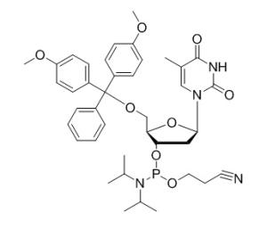 DMT-dT-CE-Phosphoramidite