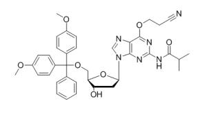 N2-iBu-O6-CE-DMT-dG