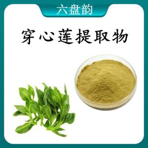 穿心莲提取物 穿心莲浓缩粉  可定制 水溶 包邮