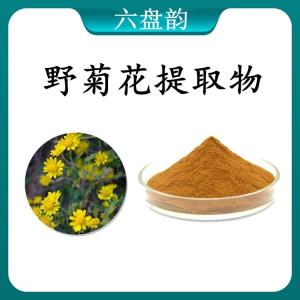 野菊花提取物 野菊花浓缩粉 可定制 水溶 包邮