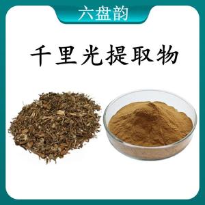 千里光提取物 千里光浓缩粉 可定制 水溶 包邮