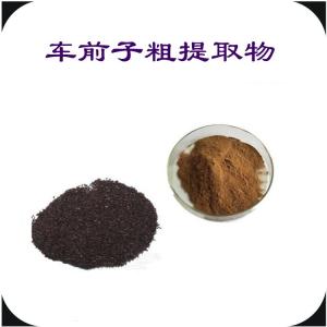 车前子粗提取物  车前子浓缩粉  六盘韵
