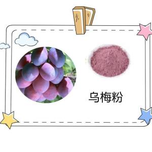 乌梅粉 鲜果加工 喷雾干燥 水溶性好