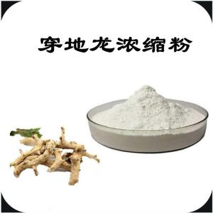 穿地龙浓缩粉  质量稳定  六盘韵