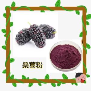 桑葚粉 喷雾干燥 水溶性产品   资质齐全