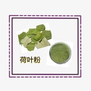荷叶粉   荷叶提取物  10:1多规格 水溶 浸膏 品质稳定