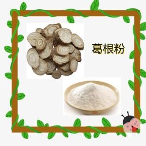 葛根粉10-1葛根提取物   葛根浸膏    厂家直销 包邮
