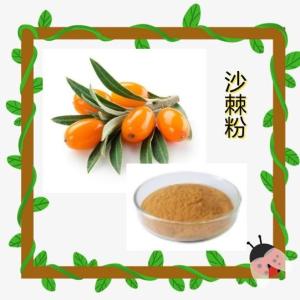 沙棘粉99% 沙棘果提取物 六盘韵生物 沙棘肽/果粉