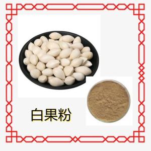 白果粉   白果提取物 10:1多规格 水溶 浸膏 厂家现货 量大从优