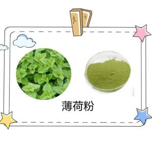 薄荷粉 薄荷提取物 品质稳定 多规格30:1 浸膏粉