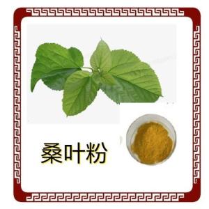 桑叶粉10-1 药食同源 桑叶提取物 桑叶浓缩粉  厂家直销 