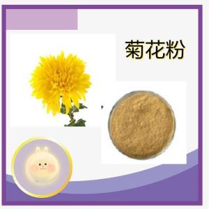菊花粉10:1 菊花浸膏 菊花提取物  六盘韵生物 资质齐全