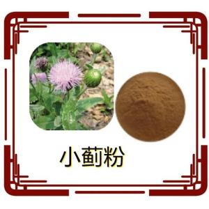 小蓟粉 小蓟提取物 10:1多规格 水溶 浸膏 厂家现货 量大从优