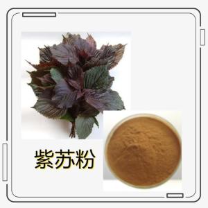 紫苏粉10:1 紫苏浸膏粉 紫苏萃取粉 六盘韵生物 喷雾干燥
