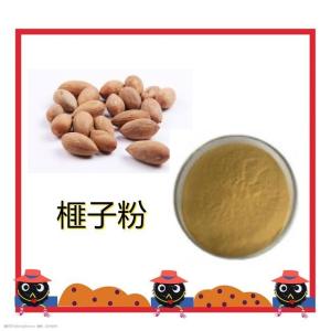 榧子粉   榧子浸膏粉 20:1 多规格 水溶 品质保障 量大从优