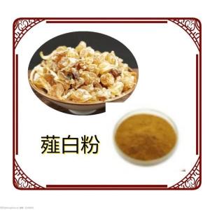 薤白根粉 薤白提取物  薤白浸膏 多规格 比例萃取