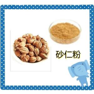 砂仁粉  10:1 水溶 砂仁提取物  砂仁浓缩粉  浸膏粉