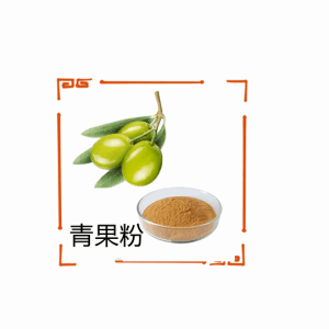 青果粉  10:1 橄榄果粉 食品级 青果提取物  资质齐全