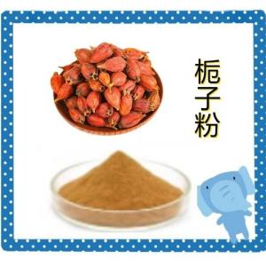 栀子粉10:1 水溶 栀子提取物   栀子浓缩粉  浸膏粉