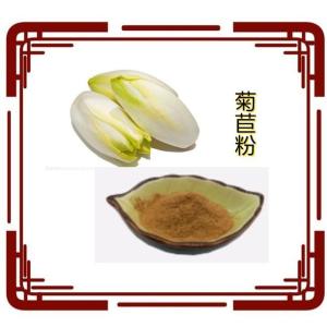菊苣粉 水溶 菊苣提取物  菊苣浓缩粉 菊苣根提取物