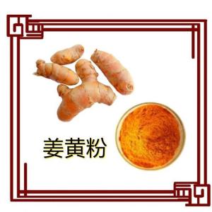 姜黄粉10:1姜黄提取物 水溶姜黄食品原料 水溶萃取物