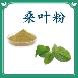 桑叶粉  桑叶粉价位   六盘韵  可定制