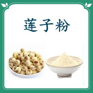 莲子粉  六盘韵  规格齐全  可定制