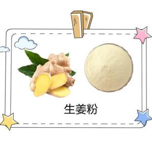 水溶生姜粉 生姜粉  10：1 生姜萃取物    浸膏粉