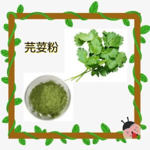 芫荽粉 水溶性好 药食同源 芫荽提取物 六盘韵