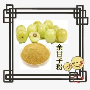 余甘子粉10-1 速溶余甘子提取物     六盘韵