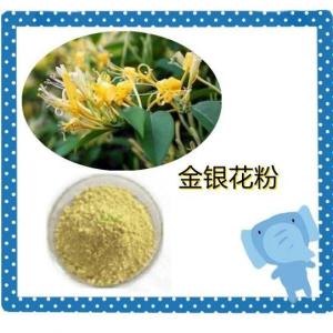 金银花粉   金银花提取物    药食同源药