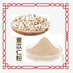 薏苡仁粉   薏苡仁提取物   薏苡仁浓缩粉 六盘韵 厂家直营