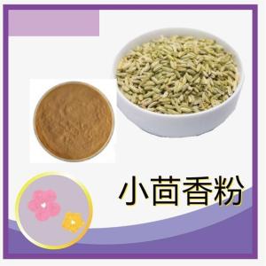 小茴香粉  水溶 小茴香提取物   小茴香浓缩粉 食品原料