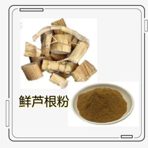 鲜芦根粉 10-1 资质齐全 浸膏粉 现货 原料