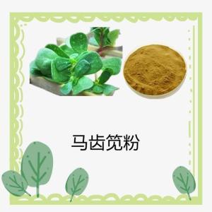 马齿苋粉 马齿苋提取物 10:1多规格 水溶 浸膏 厂家现货 量大从优