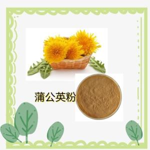 蒲公英粉 蒲公英提取物 水溶 多规格10:1 浸膏 品质稳定