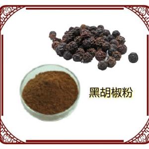 黑胡椒粉10:1 六盘韵生物 量大优惠 浸膏粉 黑胡椒萃取粉