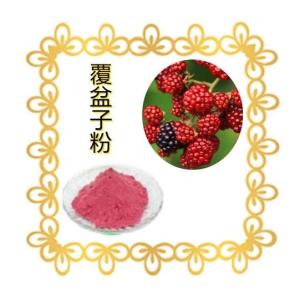 覆盆子粉10：1 浸膏粉 树莓提取物