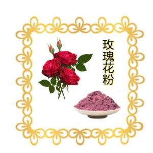 玫瑰花粉  水溶 玫瑰花提取物    玫瑰花浓缩粉