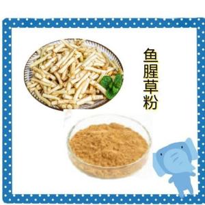 鱼腥草粉 水溶 鱼腥草提取物 鱼腥草浓缩粉 折耳根提取物