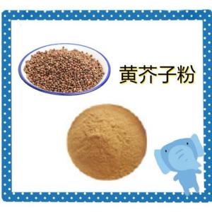 黄芥子粉    黄芥子粉 黄芥子提取粉 黄芥子提取物   六盘韵