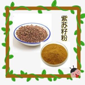 紫苏籽粉  10:1 紫苏籽纯粉 苏子提取物 六盘韵生物 资质齐全
