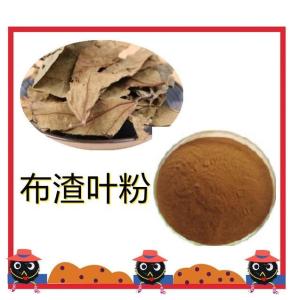 布渣叶粉   水溶布渣叶粉 布渣叶提取物 浓缩粉 厂家现货包邮