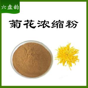 菊花浓缩粉 10：1提取菊花粉 含菊花黄酮
