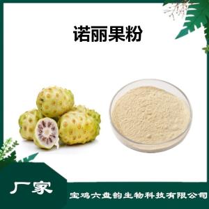 诺丽果浓缩粉 诺丽果粉 比例提取可定制 植物萃取原料