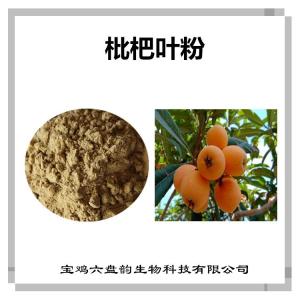 枇杷叶浓缩粉 枇杷叶粉 可定制 植物提取物原料