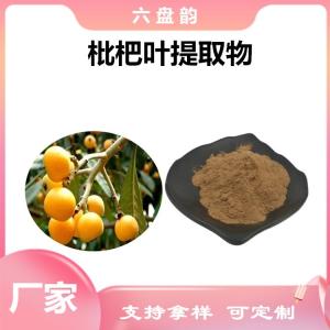 枇杷叶提取物 枇杷叶粉 植物提取物 六盘韵生产