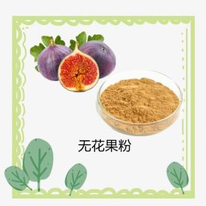 无花果粉10:1 浸膏粉 无花果提取物  六盘韵